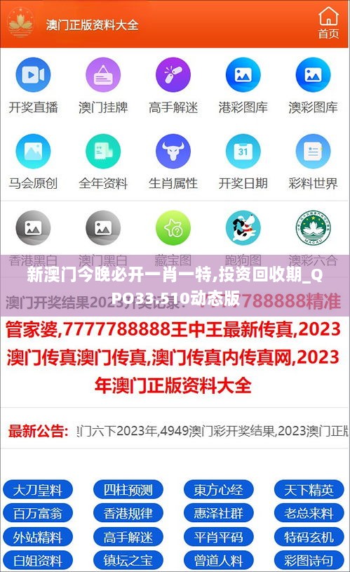 新澳门今晚必开一肖一特,投资回收期_QPO33.510动态版