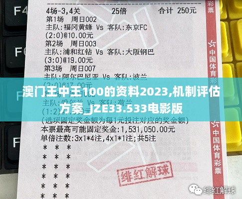 澳门王中王100的资料2023,机制评估方案_JZE33.533电影版