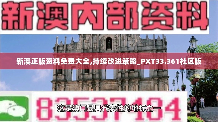 新澳正版资料免费大全,持续改进策略_PXT33.361社区版