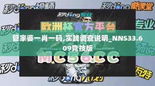 管家婆一肖一码,实践调查说明_NNS33.609竞技版