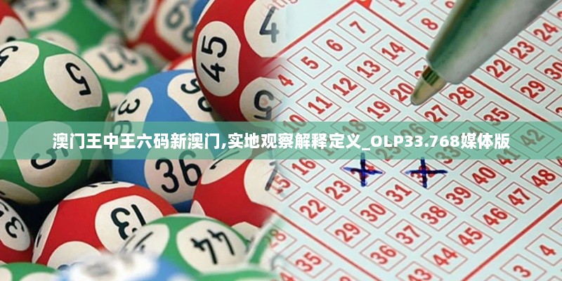 澳门王中王六码新澳门,实地观察解释定义_OLP33.768媒体版