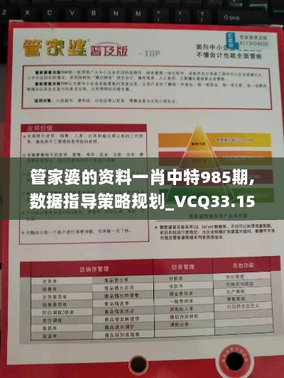 管家婆的资料一肖中特985期,数据指导策略规划_VCQ33.159限量版