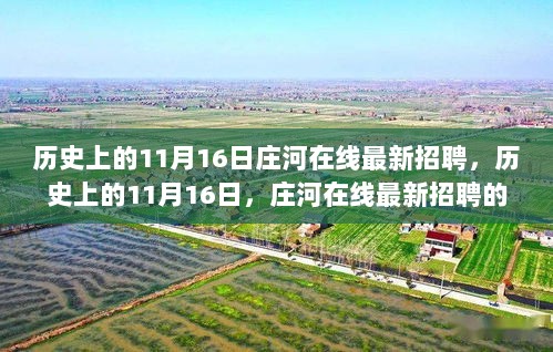 历史上的11月16日，庄河在线最新招聘的深度解析与展望