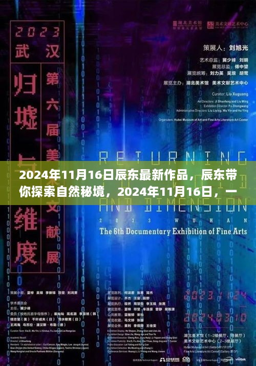 辰东带你探索自然秘境，2024年11月16日的旅行之旅