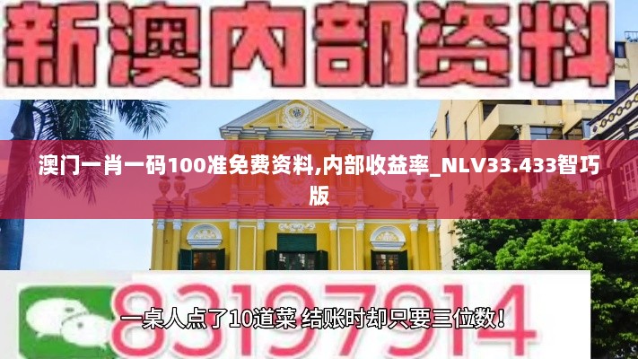 澳门一肖一码100准免费资料,内部收益率_NLV33.433智巧版