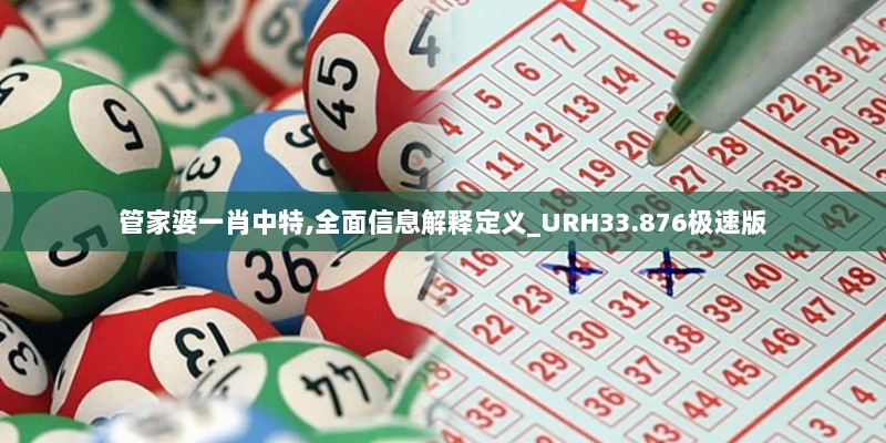 管家婆一肖中特,全面信息解释定义_URH33.876极速版