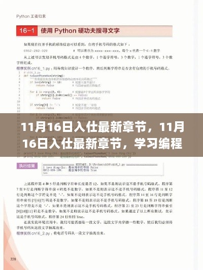 11月16日入仕最新章节编程学习基础步骤指南