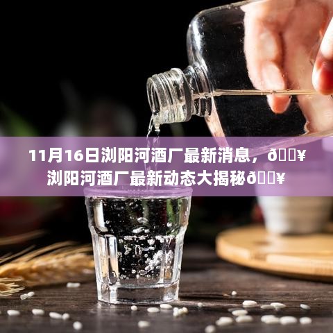 浏阳河酒厂最新动态一览，11月16日火热揭秘