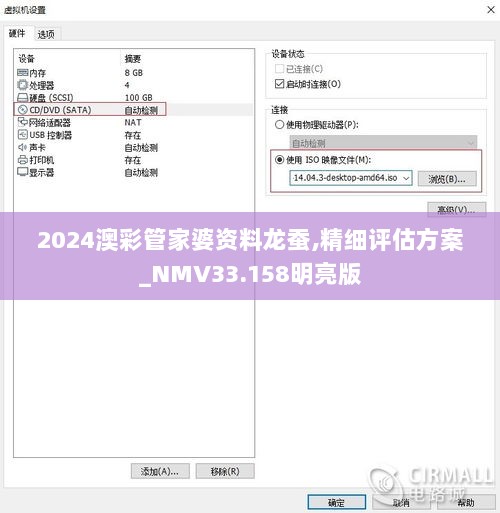 2024澳彩管家婆资料龙蚕,精细评估方案_NMV33.158明亮版