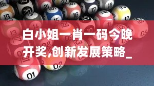 白小姐一肖一码今晚开奖,创新发展策略_FCX33.230互助版