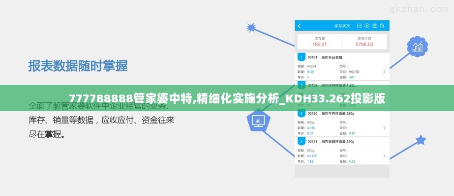 777788888管家婆中特,精细化实施分析_KDH33.262投影版