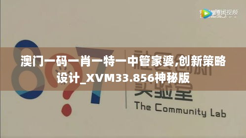 澳门一码一肖一特一中管家婆,创新策略设计_XVM33.856神秘版