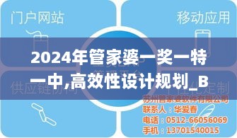 2024年管家婆一奖一特一中,高效性设计规划_BSY33.233交互版