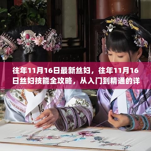 往年11月16日丝妇技能全攻略，从入门到精通的详细步骤指南