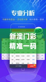 新澳门彩精准一码内,实时处理解答计划_UBX33.459计算能力版