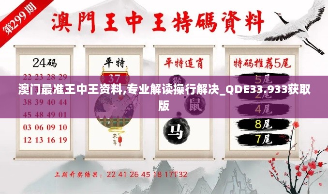 澳门最准王中王资料,专业解读操行解决_QDE33.933获取版