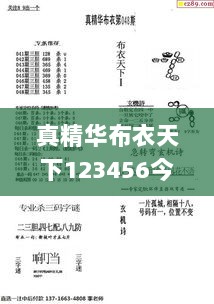 真精华布衣天下123456今天开奖号,理论考证解析_DSK33.797改进版