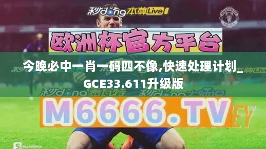 今晚必中一肖一码四不像,快速处理计划_GCE33.611升级版