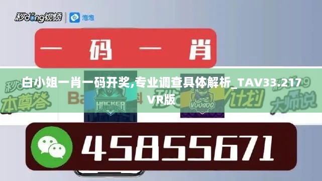 白小姐一肖一码开奖,专业调查具体解析_TAV33.217VR版