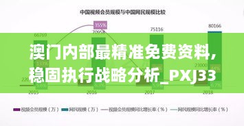 澳门内部最精准免费资料,稳固执行战略分析_PXJ33.872持久版