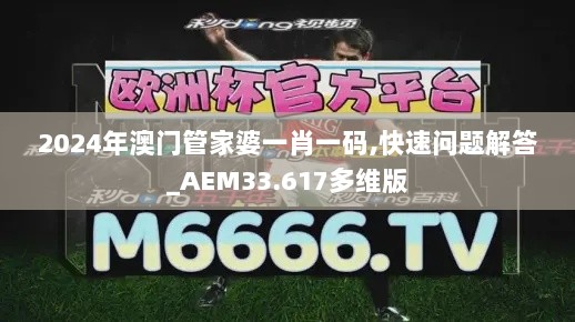 2024年澳门管家婆一肖一码,快速问题解答_AEM33.617多维版