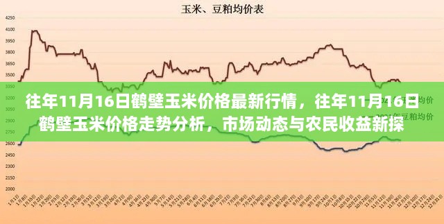 11月16日鹤壁玉米价格走势分析与市场动态新探