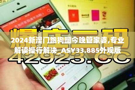 2024新澳门跑狗图今晚管家婆,专业解读操行解决_ASY33.885外观版