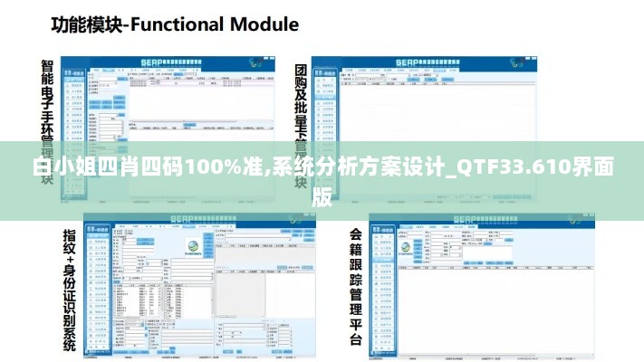 白小姐四肖四码100%准,系统分析方案设计_QTF33.610界面版