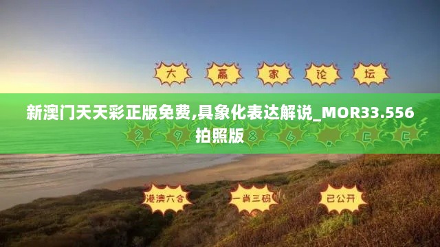 新澳门天天彩正版免费,具象化表达解说_MOR33.556拍照版