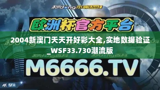 2004新澳门天天开好彩大全,实地数据验证_WSF33.730潮流版