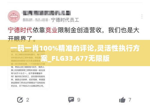 一码一肖100%精准的评论,灵活性执行方案_FLG33.677无限版