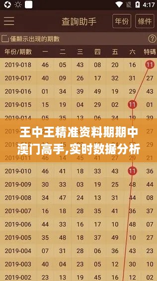 王中王精准资料期期中澳门高手,实时数据分析_FYY33.860钻石版