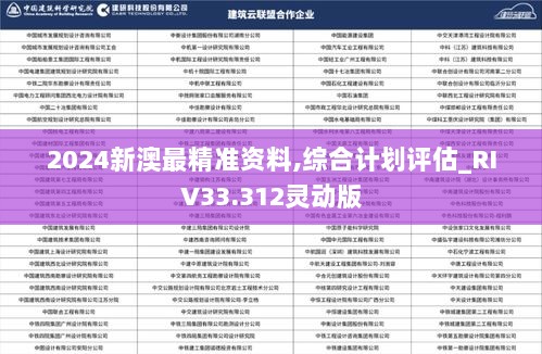 2024新澳最精准资料,综合计划评估_RIV33.312灵动版