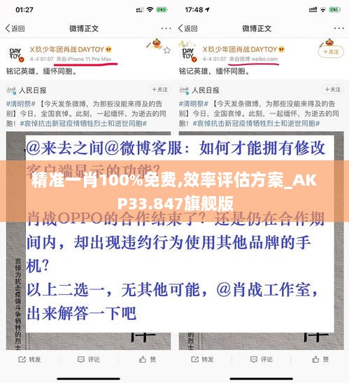 精准一肖100%免费,效率评估方案_AKP33.847旗舰版