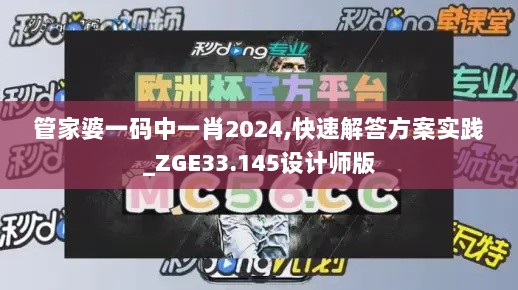 管家婆一码中一肖2024,快速解答方案实践_ZGE33.145设计师版