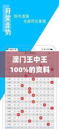 澳门王中王100%的资料,高速应对逻辑_XHW33.245物联网版