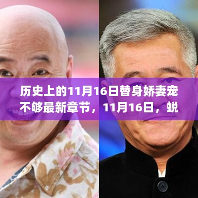 11月16日，替身娇妻宠不够的智慧与自信篇章