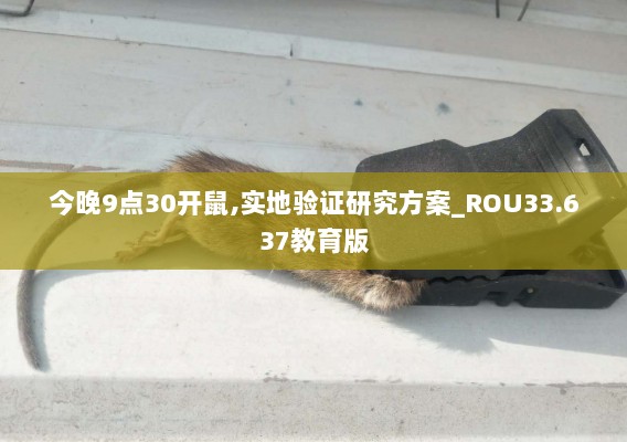 今晚9点30开鼠,实地验证研究方案_ROU33.637教育版