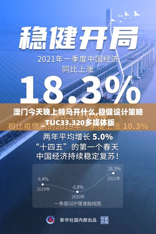 澳门今天晚上特马开什么,稳健设计策略_TUC33.320多媒体版