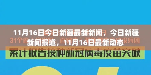 11月16日新疆最新新闻动态报道