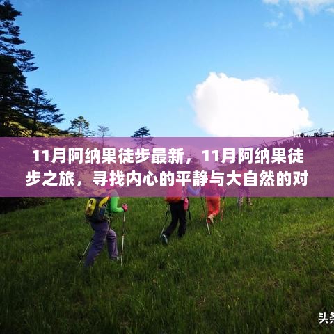 11月阿纳果徒步之旅，寻找内心的平静与大自然的对话