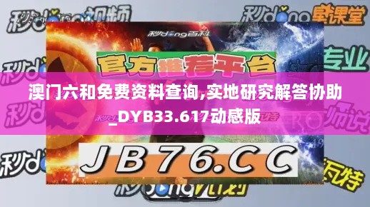 澳门六和免费资料查询,实地研究解答协助_DYB33.617动感版