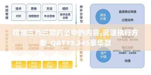 精准三肖三期内必中的内容,灵活执行方案_QAT33.245豪华款