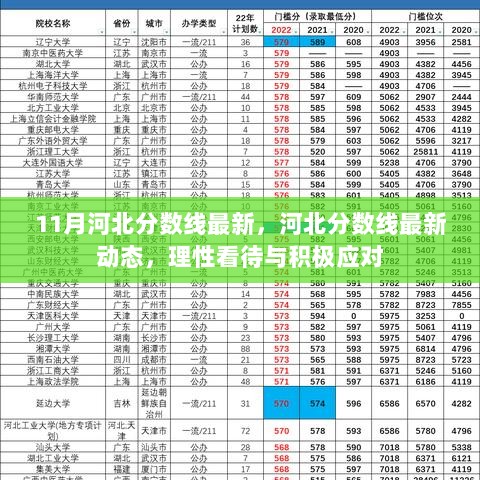 河北11月分数线最新动态，理性看待与积极应对