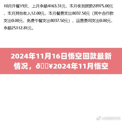 2024年11月悟空回款最新进展揭秘