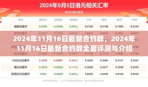 2024年11月16日最新合约群全面评测与介绍