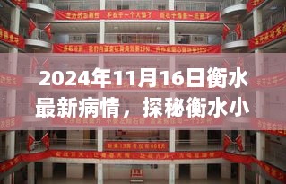 2024年11月16日衡水疫情最新动态，探秘小巷特色小店与疫情揭秘之旅