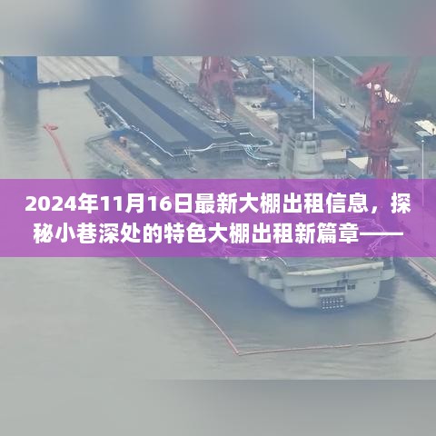 2024年11月16日最新大棚出租信息，探秘小巷深处的特色农业租赁新篇章