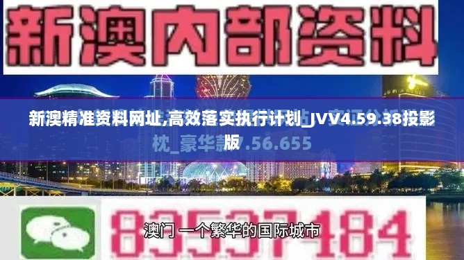 新澳精准资料网址,高效落实执行计划_JVV4.59.38投影版