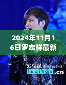 罗志祥2024年11月16日最新事件全回顾